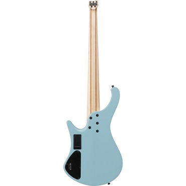 Ibanez EHB605-PRM [SPOT MODEL] 画像1