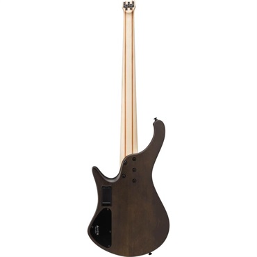 Ibanez EHB605-WNF [SPOT MODEL] 画像1