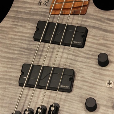 Strandberg Boden Bass Standard 4 (Charcoal) 画像2