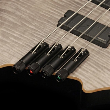 Strandberg Boden Bass Standard 4 (Charcoal) 画像8