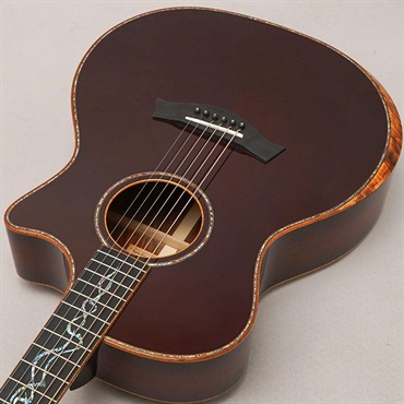 TAYLOR Custom GA Andy Powers Select Cocobolo/Port Orford Ceder 【イケベ楽器店創業50周年記念限定モデル】 テイラー 画像4