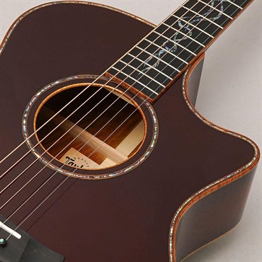 TAYLOR Custom GA Andy Powers Select Cocobolo/Port Orford Ceder 【イケベ楽器店創業50周年記念限定モデル】 テイラー 画像6