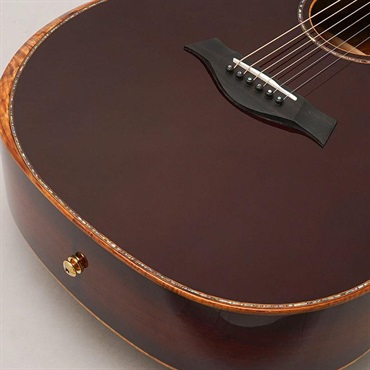 TAYLOR Custom GA Andy Powers Select Cocobolo/Port Orford Ceder 【イケベ楽器店創業50周年記念限定モデル】 テイラー 画像7