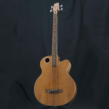 Boulder Creek Guitars USED 中古 EBR6-N4 画像2