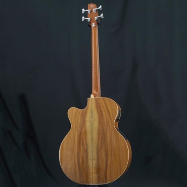 Boulder Creek Guitars USED 中古 EBR6-N4 画像3