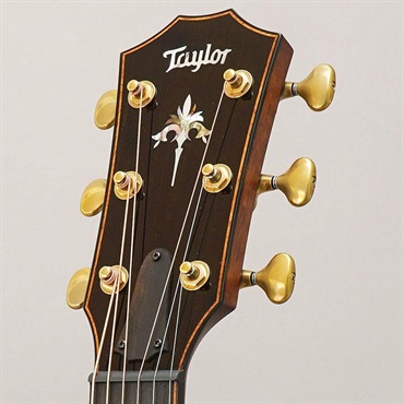 TAYLOR 【夏先取り大特価セール】914ce V-Class テイラー 画像10