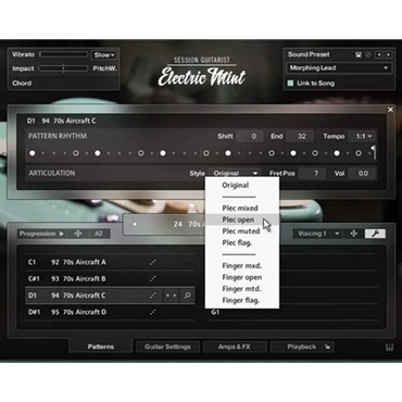 Native Instruments 【ネイティブインストルメンツSummer Sale 2026！】Session Guitarist - Electric Mint (エレキギター音源)(KONTAKT PLAYER)(オンライン納品)(2時間以内に納品) 画像2