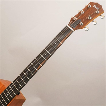 TAYLOR 【夏のボーナスセール】24ce テイラー 画像8