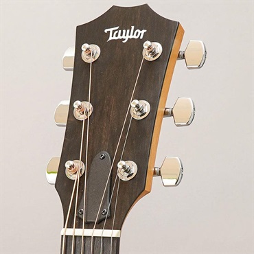 TAYLOR 212ce Walnut テイラー 画像10