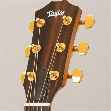TAYLOR 224ce-K DLX テイラー 画像10