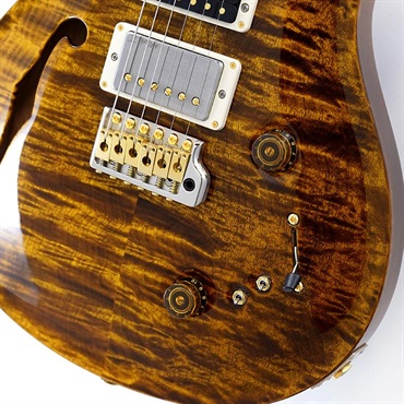 P.R.S. Special Semi-Hollow 10 Top (Black Gold) SN.0409067【2025年生産品】 画像4