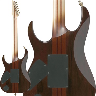 Ibanez VISIONS IV1RG 画像1