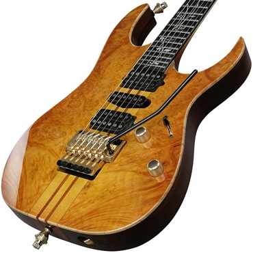 Ibanez VISIONS IV1RG 画像2