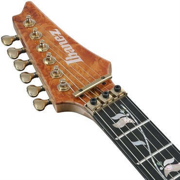 Ibanez VISIONS IV1RG 画像4
