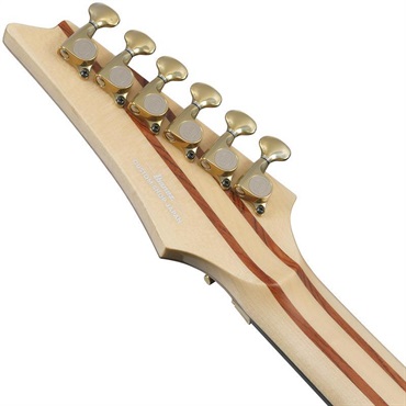 Ibanez VISIONS IV1RG 画像5