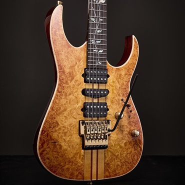 Ibanez VISIONS IV1RG 画像6