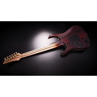 Ibanez VISIONS IV1RG 画像8