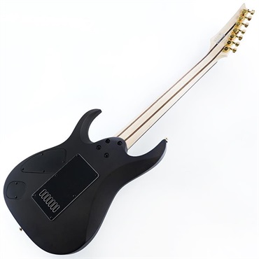 Ibanez K7YANG [KORN Head Model] 画像2