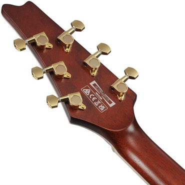 Ibanez IC420MFM-CML (Caramel Burst Low Gloss) [Limited Model] 画像5