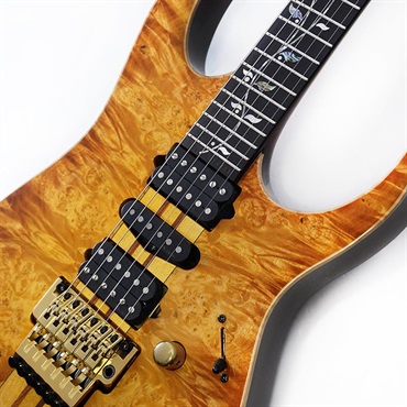 Ibanez VISIONS IV1RG SN.H25304 画像3