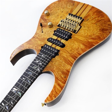 Ibanez VISIONS IV1RG SN.H25304 画像5