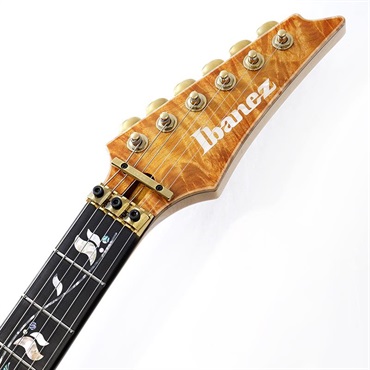 Ibanez VISIONS IV1RG SN.H25304 画像8