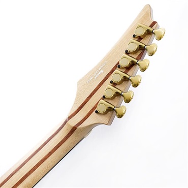 Ibanez VISIONS IV1RG SN.H25304 画像9
