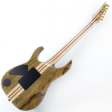 Ibanez VISIONS IV2RG SN.A26301 画像2