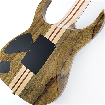Ibanez VISIONS IV2RG SN.A26301 画像7