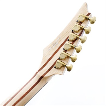 Ibanez VISIONS IV2RG SN.A26301 画像9