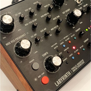 moog Labyrinth　ラビリンス　【展示入替特価品】 (セミモジュラー)　モーグ 画像3