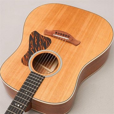 TAYLOR Gold Label 510e テイラー 画像4