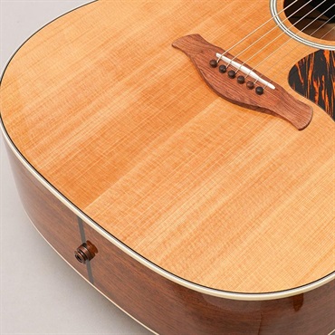 TAYLOR Gold Label 510e テイラー 画像7