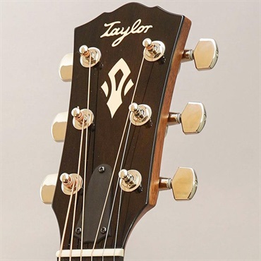 TAYLOR Gold Label 510e テイラー 画像10
