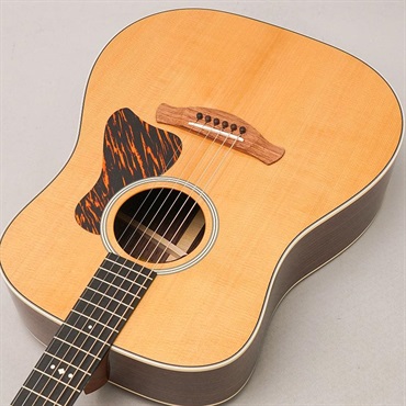 TAYLOR Gold Label 710e テイラー 画像4