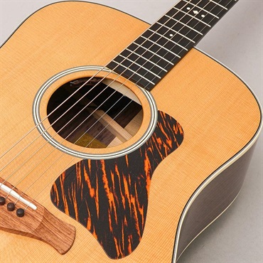 TAYLOR Gold Label 710e テイラー 画像6