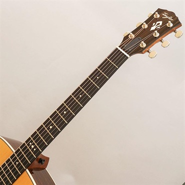 TAYLOR Gold Label 710e テイラー 画像8