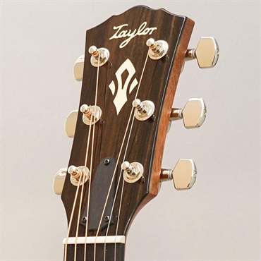 TAYLOR Gold Label 710e テイラー 画像10