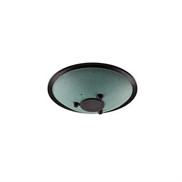 MEINL CSTD1DG [10'' Compact Steel Tongue Drum / Dark Green - B Minor] 画像1