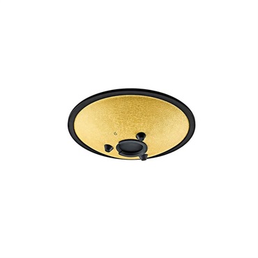 MEINL CSTD3G [10'' Compact Steel Tongue Drum / Gold - D Minor] 画像1