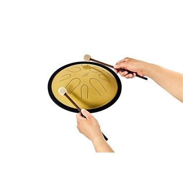 MEINL CSTD3G [10'' Compact Steel Tongue Drum / Gold - D Minor] 画像3