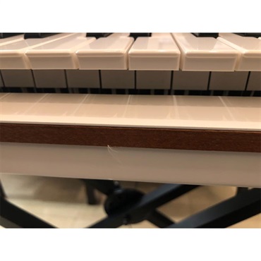 Arturia USED 中古【夏先取り大特価セール】Origin Keyboard【訳あり中古品】※配送事項要ご確認　アートリア 画像6