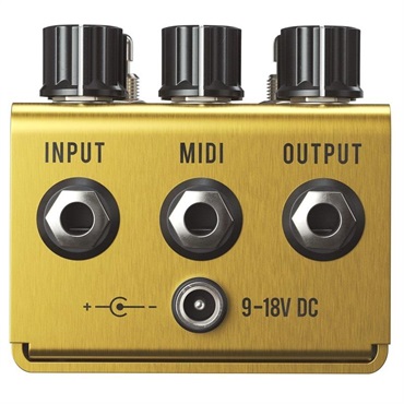 Jackson Audio 【チョイ傷特価】 GOLDEN BOY 画像1