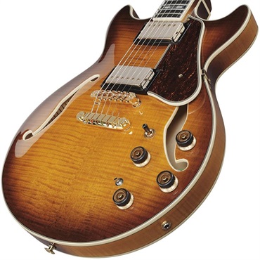 Ibanez ARTSTAR AM153FM-ATT (Antique Tobacco Burst) 画像2