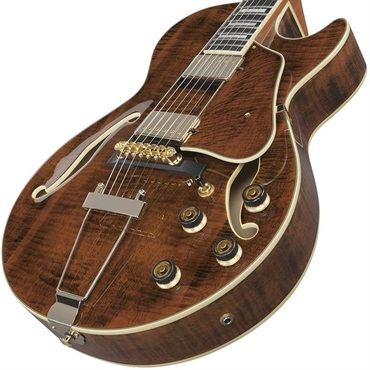 Ibanez Artcore Expressionist AG95MG-DA (Dark Amber) [SPOT MODEL] 画像2