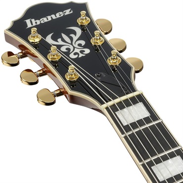 Ibanez Artcore Expressionist AG95MG-DA (Dark Amber) [SPOT MODEL] 画像4