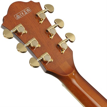Ibanez Artcore Expressionist AG95MG-DA (Dark Amber) [SPOT MODEL] 画像5