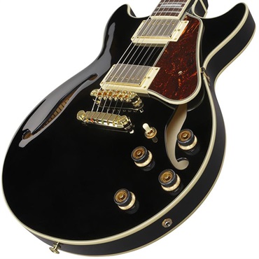 Ibanez Artcore AM73G-BK (Black) [SPOT MODEL] 画像2