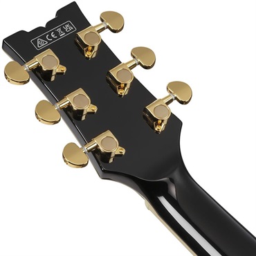 Ibanez Artcore AM73G-BK (Black) [SPOT MODEL] 画像5
