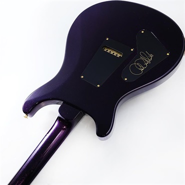 P.R.S. Custom 24 10 Top (Custom Color) SN.0413511 【2025年生産品】 画像6